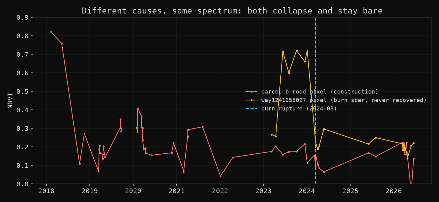 NDVI trace of a burn-scar pixel against the road pixel: both collapse and stay bare