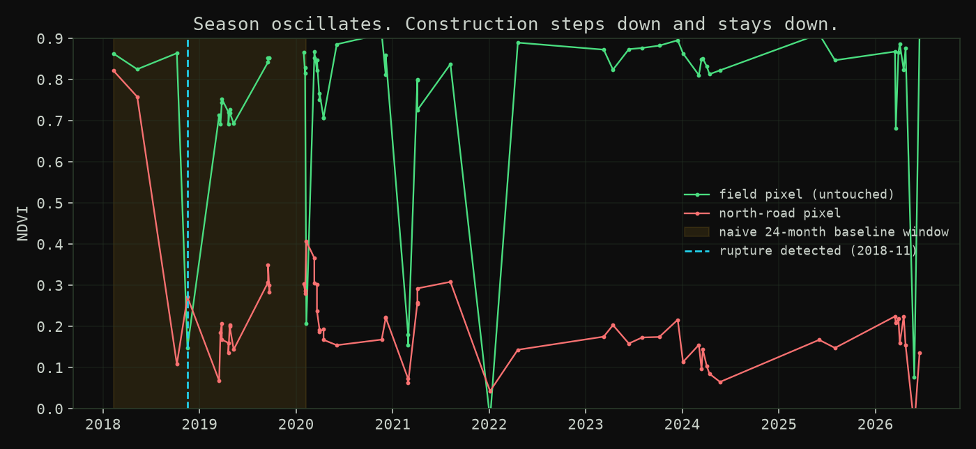 NDVI traces: a field pixel oscillates with the seasons while the road pixel steps down in late 2018 and never comes back